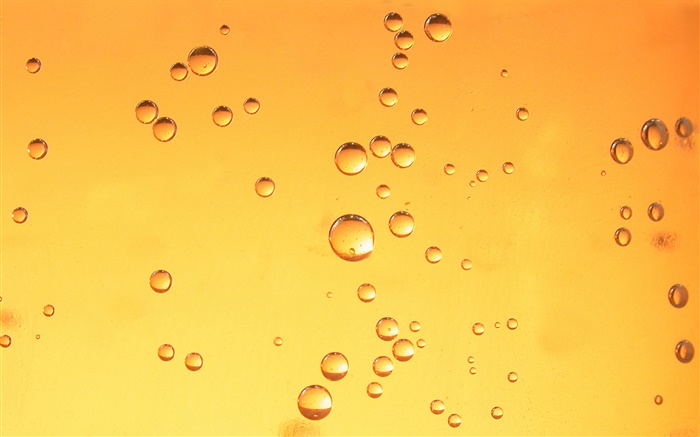 Water drops, orange background Wallpapers Pictures Photos Images