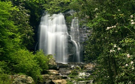 Waterfalls, plants, flowers HD wallpaper