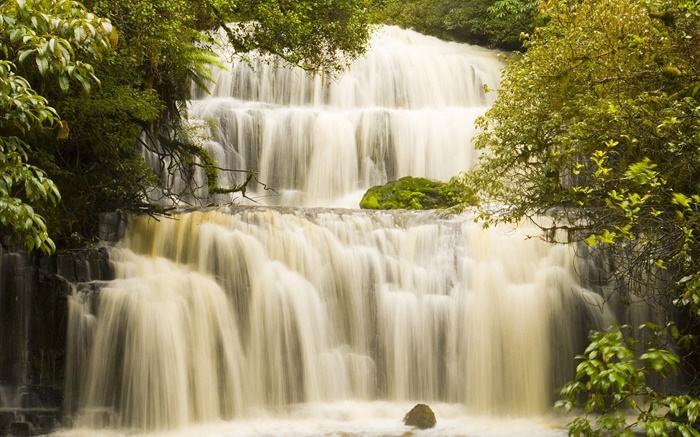 Waterfalls, trees Wallpapers Pictures Photos Images