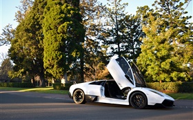 White Lamborghini Murcielago supercar, trees, road, sunshine HD wallpaper
