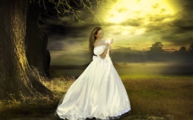 White dress fantasy girl, dusk, magical HD wallpaper