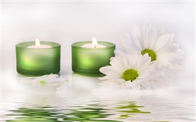 White flower, candle, water, SPA HD wallpaper