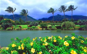 Wind, trees, flowers, mountains, clouds, Hawaii, USA