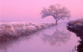 Winter morning, frost, trees, river, red sky HD wallpaper