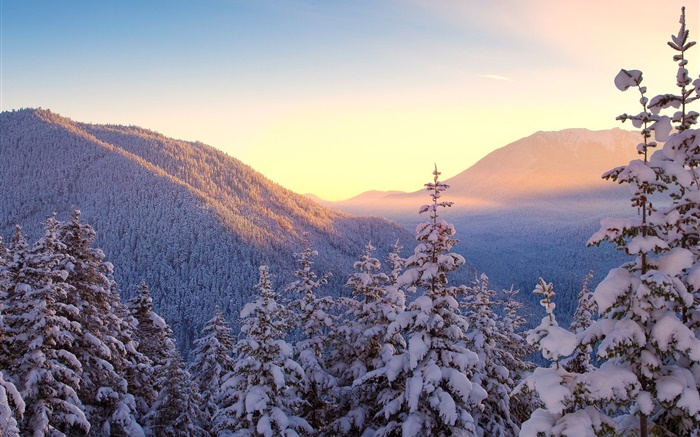 Winter, mountains, snow, trees, sunset Wallpapers Pictures Photos Images