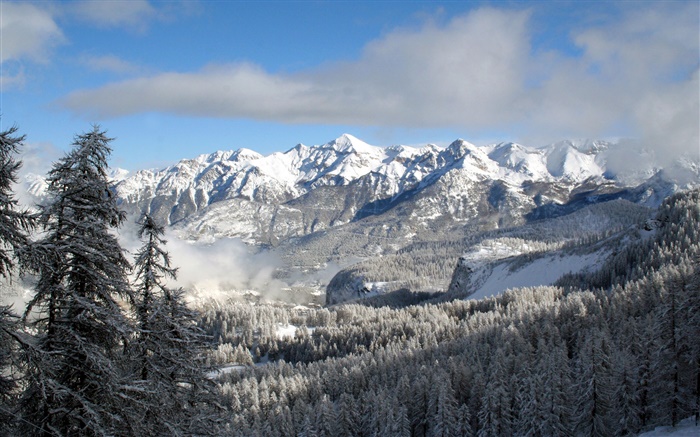 Winter, mountains, trees, snow, nature landscape Wallpapers Pictures Photos Images