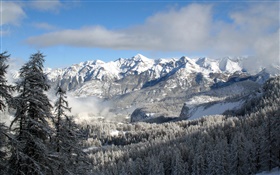 Winter, mountains, trees, snow, nature landscape HD wallpaper
