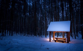 Winter, trees, pavilion, snow, night, light HD wallpaper
