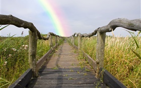 Wood footpath, fence, grass, rainbow, summer HD wallpaper