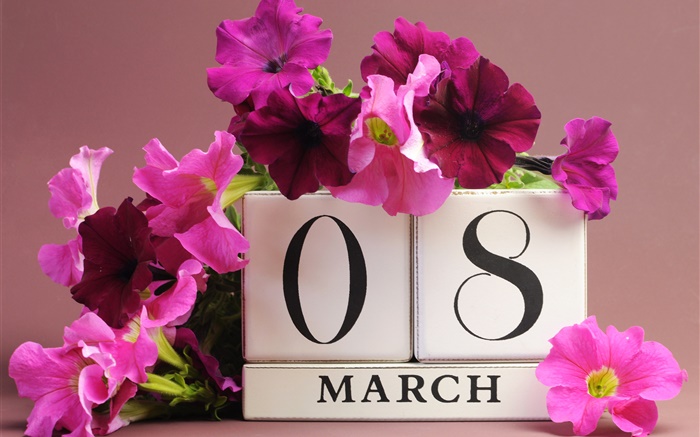 8 March, Women's Day, pink petunias flowers, date Wallpapers Pictures Photos Images