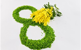 8 March, Women's Day, yellow flowers, mimosa HD wallpaper