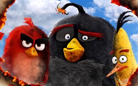 Angry Birds movie 2016 HD wallpaper