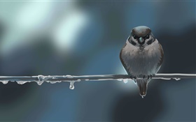 Art drawing, bird, sparrow, twig, dew HD wallpaper