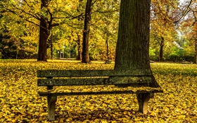 Autumn, park, bench, trees, yellow leaves ground HD wallpaper