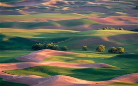 Beautiful spring, field, hills, trees, green and brown HD wallpaper