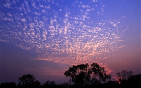 Beautiful sunset, sky, clouds, trees silhouette HD wallpaper