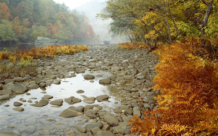 Big South Fork River, Tennessee, USA Wallpapers Pictures Photos Images