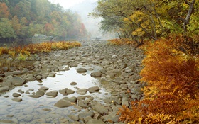 Big South Fork River, Tennessee, USA HD wallpaper