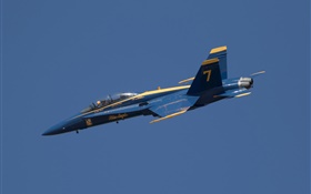 Blue Angels, airplane, flight in sky