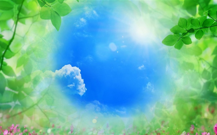 Blue sky, green leaves, sun, summer Wallpapers Pictures Photos Images