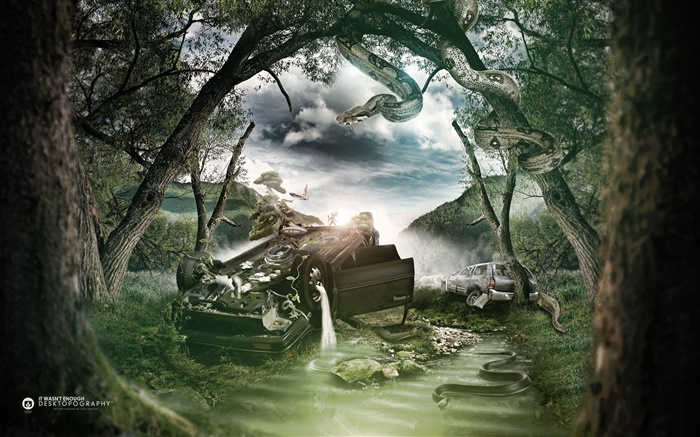 Broken cars, trees, snake, creative design Wallpapers Pictures Photos Images