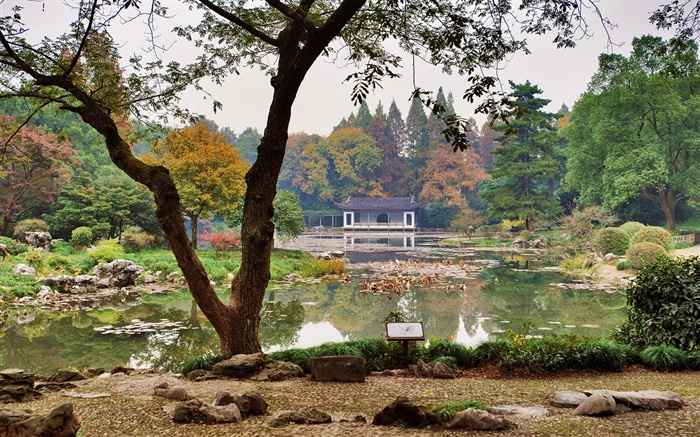 China, Hangzhou Botanical Garden, pond, grass, bushes, trees Wallpapers Pictures Photos Images