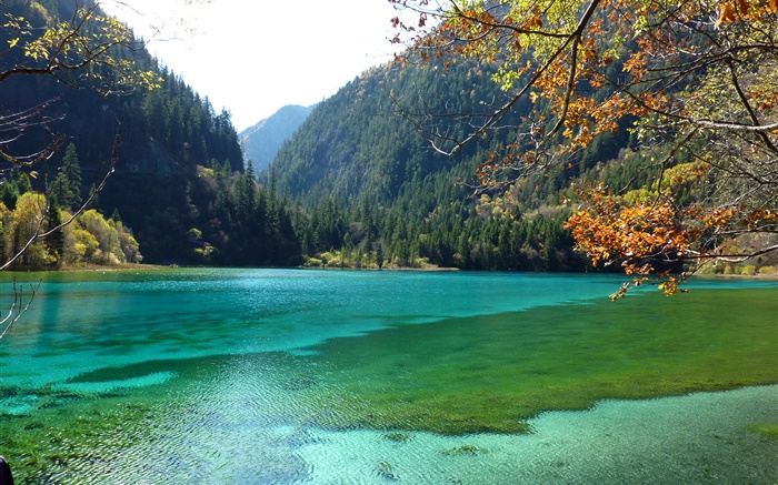China, Jiuzhaigou National Park, lake, mountains, trees Wallpapers Pictures Photos Images
