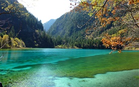 China, Jiuzhaigou National Park, lake, mountains, trees HD wallpaper