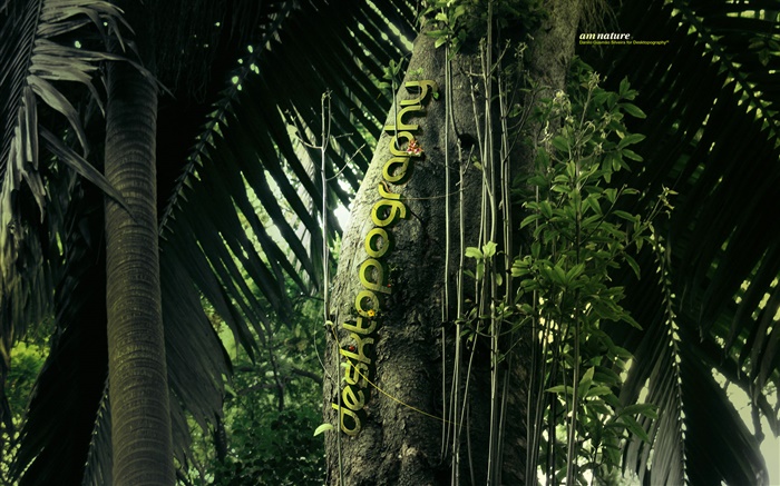 Creative design, forest, trees, caterpillar Wallpapers Pictures Photos Images