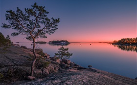 Finland, Finnish Bay, sea, island, sunset, trees, stones HD wallpaper