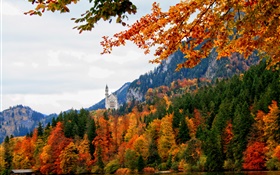 Germany, Bavaria, Schwangau castle, trees, river, autumn