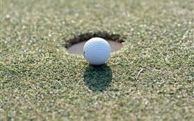 Golf ball on the grass HD wallpaper