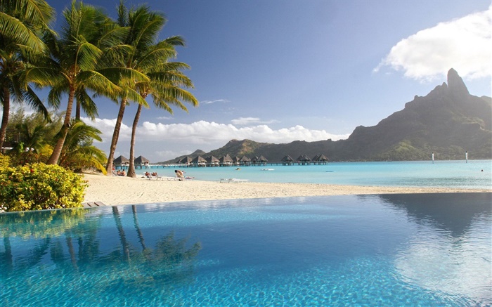 Lagoon, resort, palm trees, beach, pool, tropical Wallpapers Pictures Photos Images