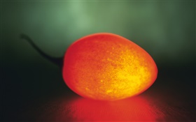 Light fruit, Tree tomato HD wallpaper