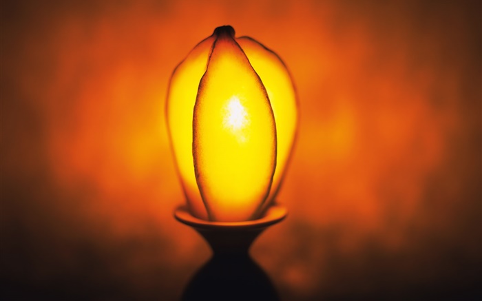 Light fruit, carambola Wallpapers Pictures Photos Images