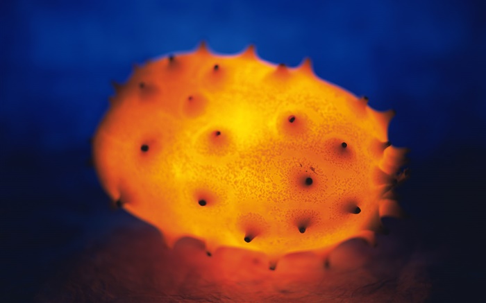 Light fruit, cucumis metuliferus Wallpapers Pictures Photos Images