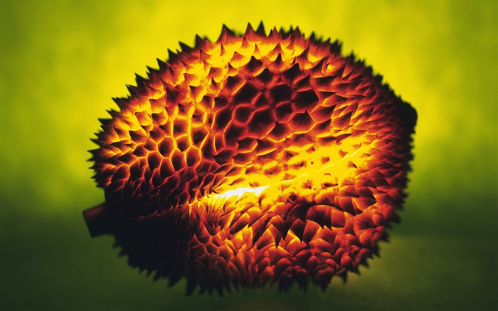 Light fruit, durian Wallpapers Pictures Photos Images