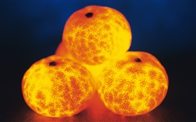 Light fruit, four oranges HD wallpaper