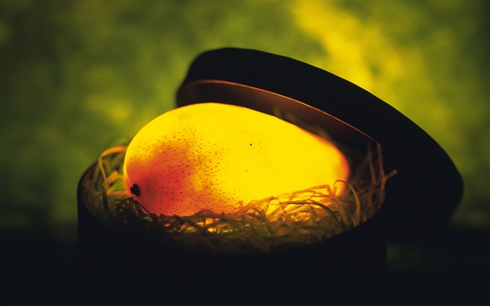 Light fruit, mango in the nest Wallpapers Pictures Photos Images