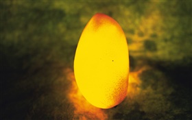 Light fruit, mango HD wallpaper