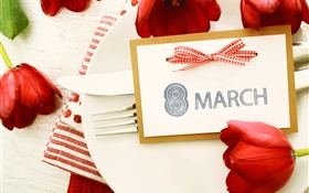 March 8, Women's Day, red tulips HD wallpaper