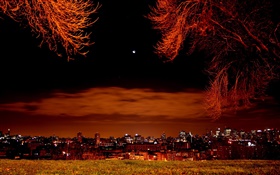 Mountain top view city, night, buildings, lights HD wallpaper