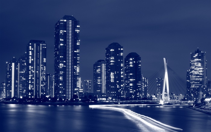Night city, Tokyo, Japan, skyscrapers Wallpapers Pictures Photos Images