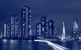 Night city, Tokyo, Japan, skyscrapers HD wallpaper