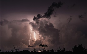 Night, clouds, storm, lightning, trees, silhouette HD wallpaper