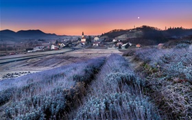 Night, dusk, houses, town, field, sky, moon HD wallpaper
