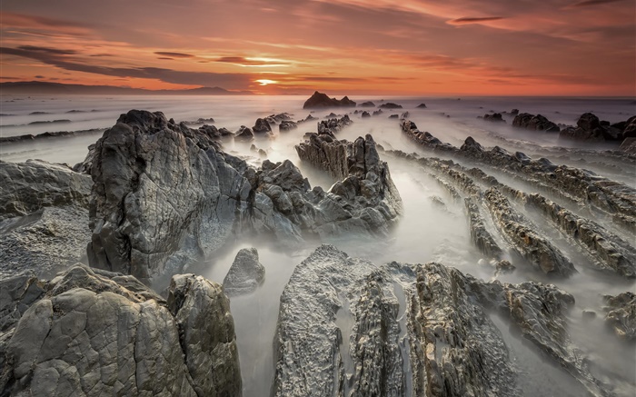 Ocean, coast, rocks, dawn Wallpapers Pictures Photos Images