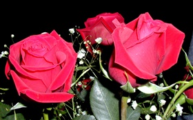 Red rose flowers, bouquet