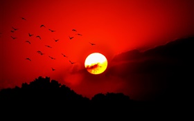 Red sky, clouds, sunset, glow, birds, silhouette HD wallpaper