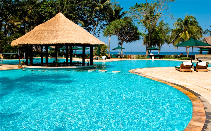 Resort, palm trees, pool, house, exotic Wallpapers Pictures Photos Images